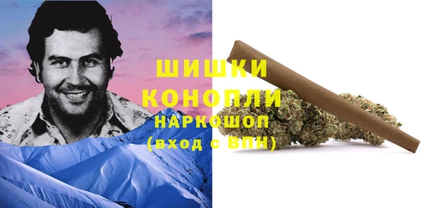прущие грибы Новокубанск
