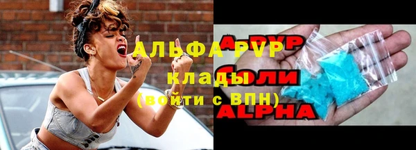 таблы Новозыбков