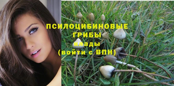ГАЛЛЮЦИНОГЕННЫЕ ГРИБЫ Новодвинск