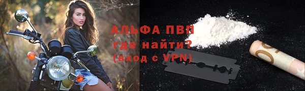 таблы Новозыбков
