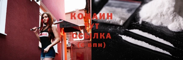 прущие грибы Новокубанск