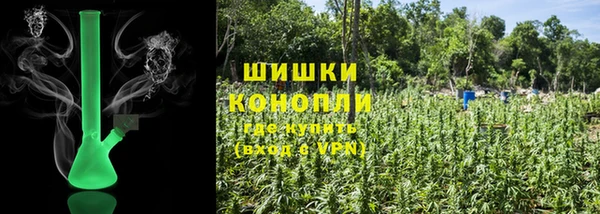 прущие грибы Новокубанск