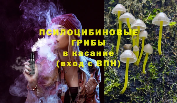прущие грибы Новокубанск
