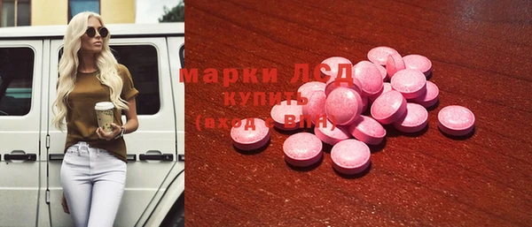 прущие грибы Новокубанск