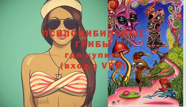 таблы Новозыбков
