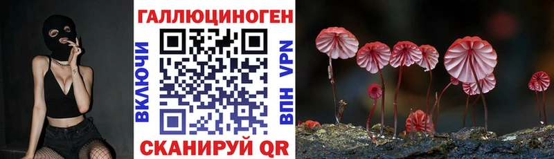 Псилоцибиновые грибы Psilocybine cubensis  Магнитогорск 