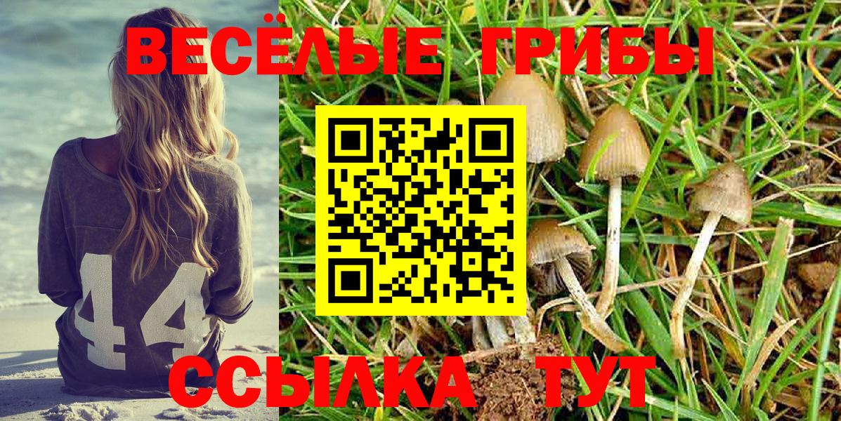 Псилоцибиновые грибы GOLDEN TEACHER  Вход с VPN  Магнитогорск 