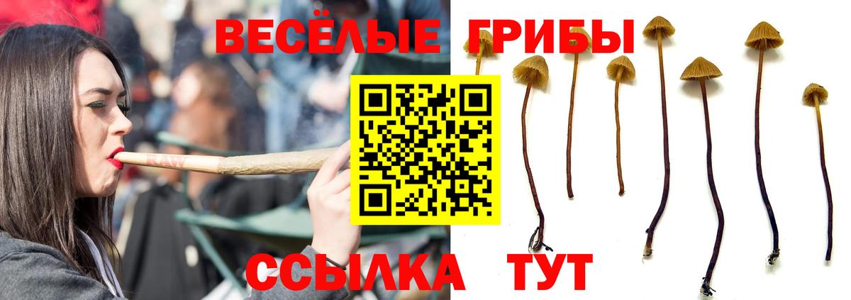 Галлюциногенные грибы Magic Shrooms Магнитогорск