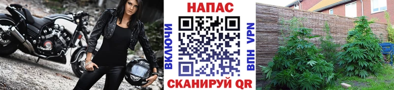 kraken сайт  Магнитогорск  МАРИХУАНА Amnesia 